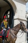 London - July 30 : Kings Troop Royal Horse Artillery In Whitehal Stock Photo