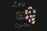 Oyster Fresh Zinc Seafood Appetizer Periodic Table Stock Photo