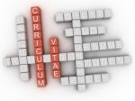 3d Curriculum Vitae Concept Word Cloud Stock Photo