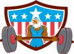 Bald Eagle Weightlifter Barbell Usa Flag Stock Photo