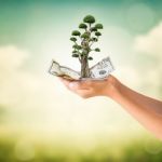 Hands Holding Us Dollars Note With Bonsai Tree Stock Photo