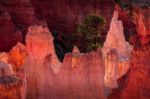 Detail From Bryce Canyon Southern Utah Stock Photo