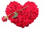 Heart Shape Of Red Rose Petals With A Red Rose Stock Photo