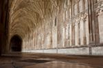 Cloister In Gloucester Cathedral Stock Photo