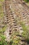Tire Track Of Tractor On Muddy Road Stock Photo