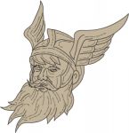 Norse God Odin Head Drawing Stock Photo