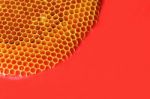 Abstract Of Honey Comb On Colorful Wooden Panel Stock Photo