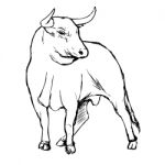 Freehand Sketch Illustration Of Bul Stock Photo