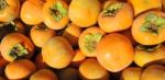 Persimmon Fruit Stock Photo