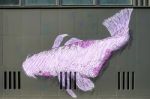 Whale Mural In A Street In Berlin Stock Photo