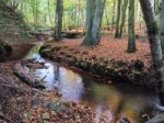 Scenic View Of The Ashdown Forest In Sussex Stock Photo