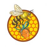 Bumblebee Carrying Honey Pot Beehive Circle Stock Photo
