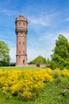 Dutch Stone Water Tower With Blooming Yellow Flowers Stock Photo