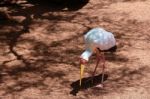 Fuengirola, Andalucia/spain - July 4 : Yellow-billed Stork (myct Stock Photo