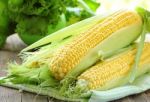 Fresh Organic Corn Stock Photo
