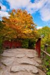 Autumn Tree And Red Wooden Bridge With Stone Laid Pathway At The Stock Photo