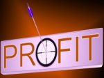 Profit Shows Financial Investment Success Stock Photo