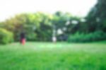 Lawn In Park With Blurred Images Stock Photo