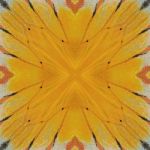 Seamless Pattern Stock Photo