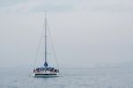Marbella, Andalucia/spain - July 6 : Catamaran Entering The Harb Stock Photo