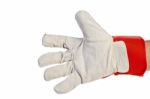 Hand Wearing Leather Glove Stock Photo