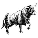 Bull With Mask On White Background Stock Photo