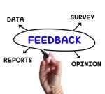 Feedback Diagram Means Survey Reports And Opinion Stock Photo