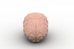 Human Brain 3d Model Stock Photo
