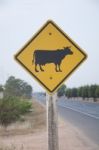 Cow Symbol As The Road Background Stock Photo