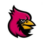 Cardinal Bird Head Mascot Stock Photo