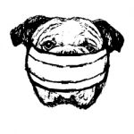Illustration Of Bulldog With Mask Stock Photo