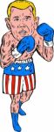 Boxer Pose Usa Flag Etching Stock Photo