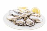 Oysters In Plate Stock Photo