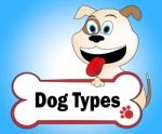 Dog Types Represents Puppy Sorts And Breeds Stock Photo