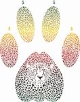 Cheetah Color Footprint Stock Photo