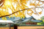 Autumn In Gyeongbukgung Palace,korea Stock Photo