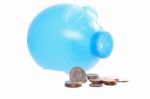 Piggy Bank With Coins  Stock Photo