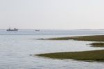 Lonely Fisherman Boat On The Marshlands Of Ria Formosa Stock Photo