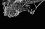 Cobweb Or Spider Web Isolated On Black Background In Ancient Tha Stock Photo