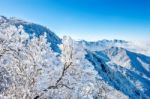 Deogyusan Mountains In Winter, Korea Stock Photo
