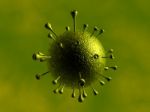 Corona Virus Stock Photo