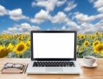 Laptop Computer And Coffee On Sunflower Field Background Stock Photo