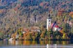 Colorful Autumn Day On Bled Lake, Slovenia Stock Photo