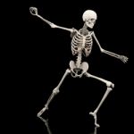Skeleton  Stock Photo