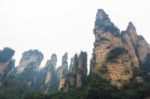 Zhangjiajie National Park ( Tian Zhi Shan ) ( Tianzi Mountain Nature Reserve ) And Fog , China Stock Photo