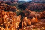 Early Morning In Bryce Canyon Stock Photo