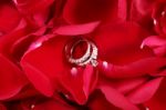 Macro Shot Of Set Of Wedding Rings In Red Rose Petals Stock Photo