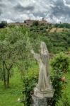 Montalcino, Tuscany/italy - May 20 : Statue In The Grounds Of Sa Stock Photo