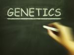 Genetics Chalk Means Genes Dna And Heredity Stock Photo