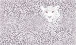 Raster Leopard Background Stock Photo